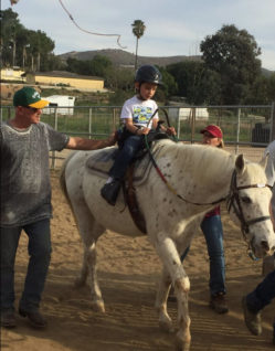 Adaptive Horseback Riding – Competition, Equipment and Programs